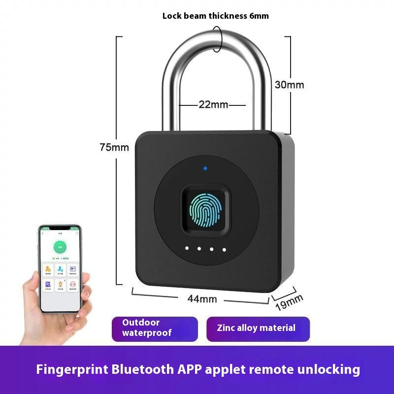 Storage / Garage Smart Security Lock