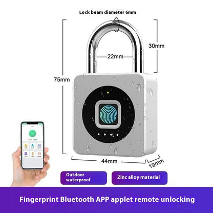 Storage / Garage Smart Security Lock