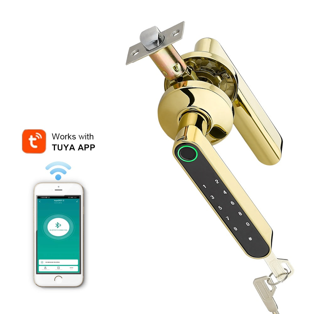 TUYA Bedroom Smart Door Lock