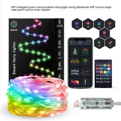 LED smart festival light